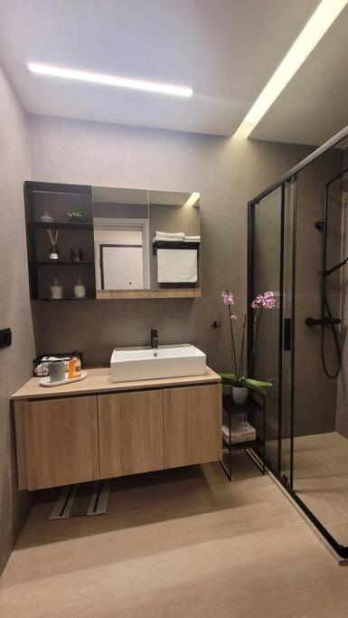 8 Blocks Apartments 1B 亚历山德鲁波利斯 外观 照片
